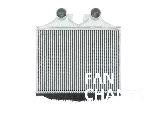 CHINA Factory Wholesale A6955007201 RADIATOR FOR BENZ FANCHANTS China Auto Parts Wholesales