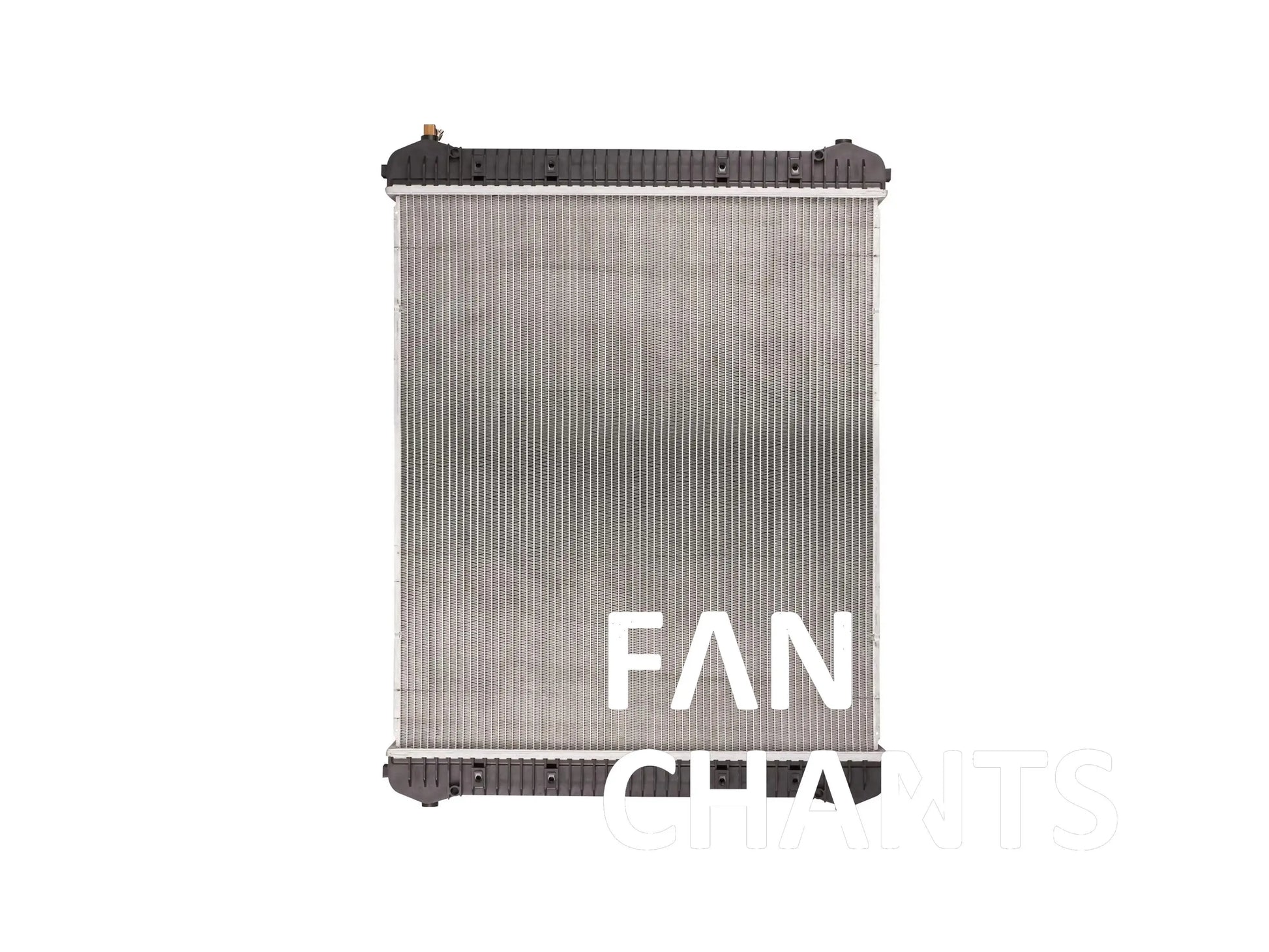 CHINA Factory Wholesale B9702 B9702 BHTD5970 D5970 RADIATOR FOR FREIGHTLINER FANCHANTS China Auto Parts Wholesales