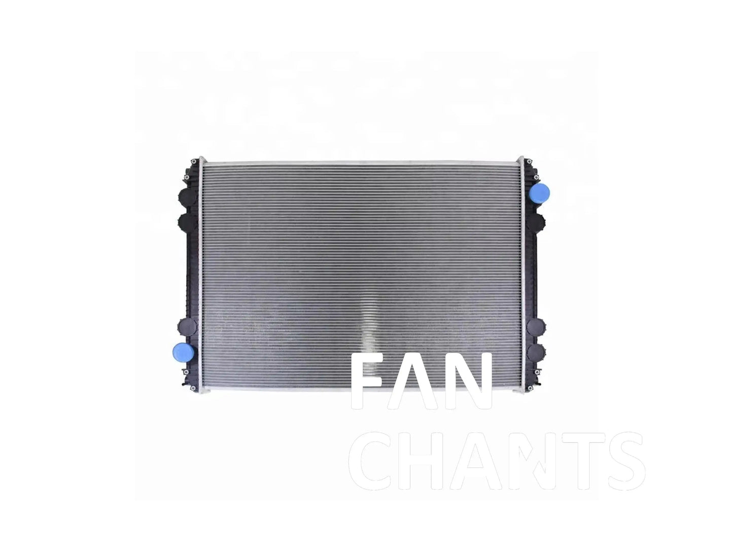 CHINA Factory Wholesale BHTD0530 BHTD0635 BHTE7244 RADIATOR FOR FREIGHTLINER FANCHANTS China Auto Parts Wholesales