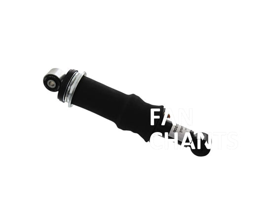 China Factory Wholesale 1075076 1075077 Shock Absorber for VOLVO - FANCHANTS China Auto Parts Wholesales