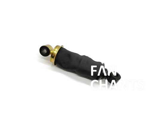 China Factory Wholesale 500340706 500357352 Shock Absorber for IVECO FANCHANTS China Auto Parts Wholesales