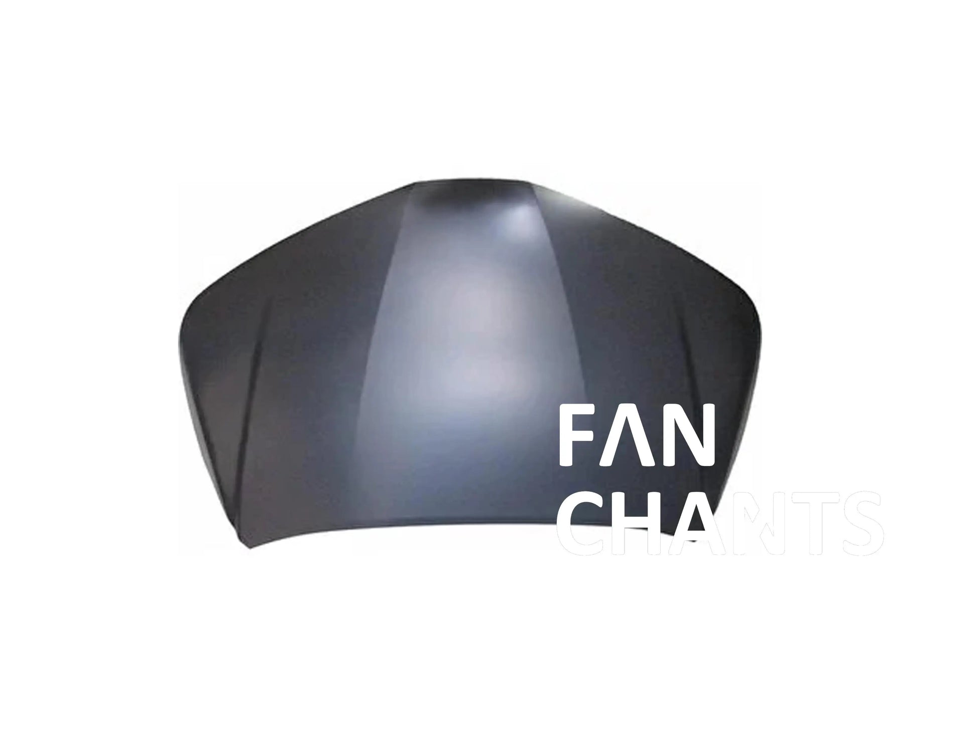 China Factory Wholesale 53301-02390 HOOD for TOYOTA FANCHANTS China Auto Parts Wholesales