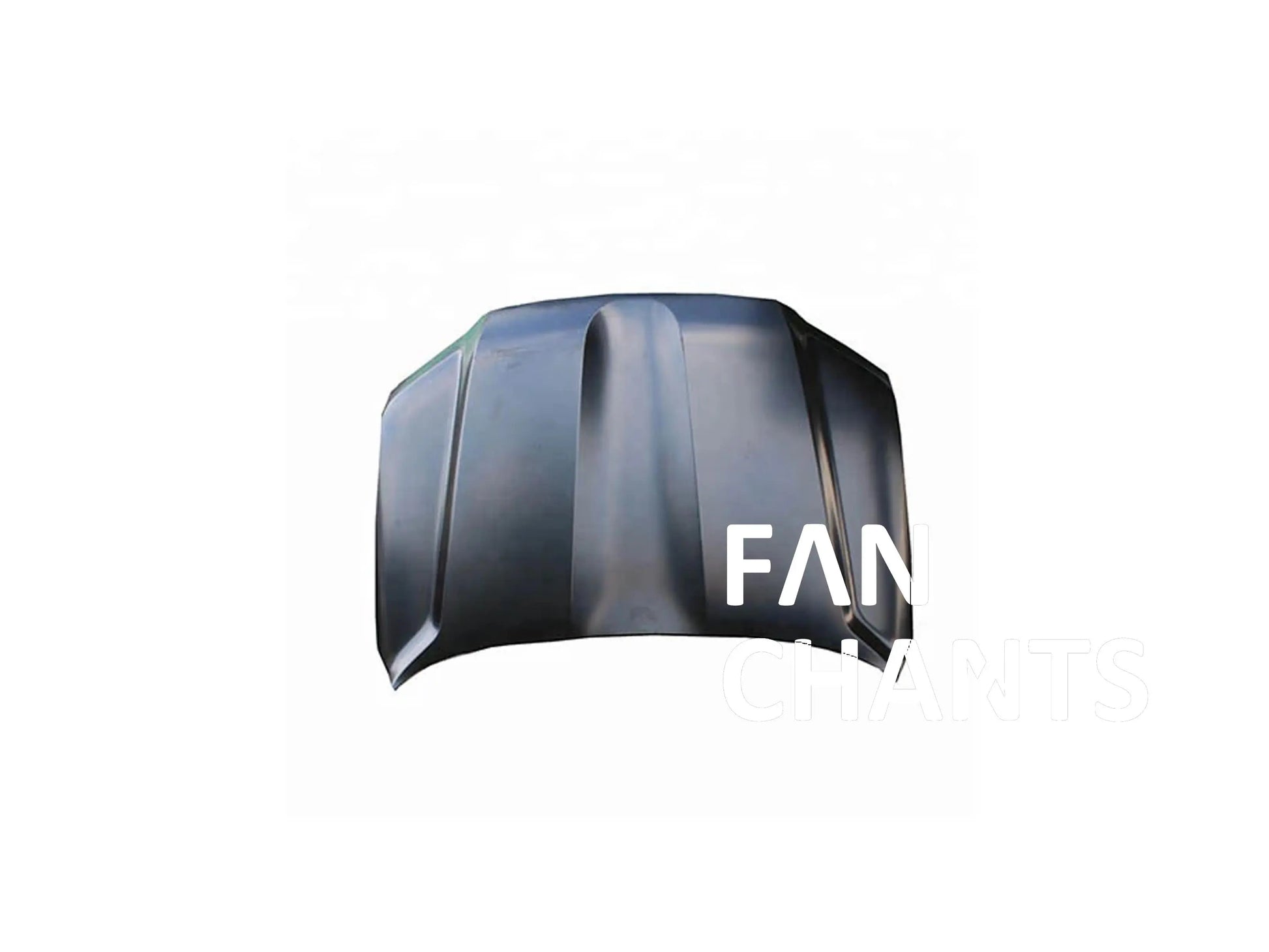 China Factory Wholesale 53301-60690 HOOD for TOYOTA FANCHANTS China Auto Parts Wholesales