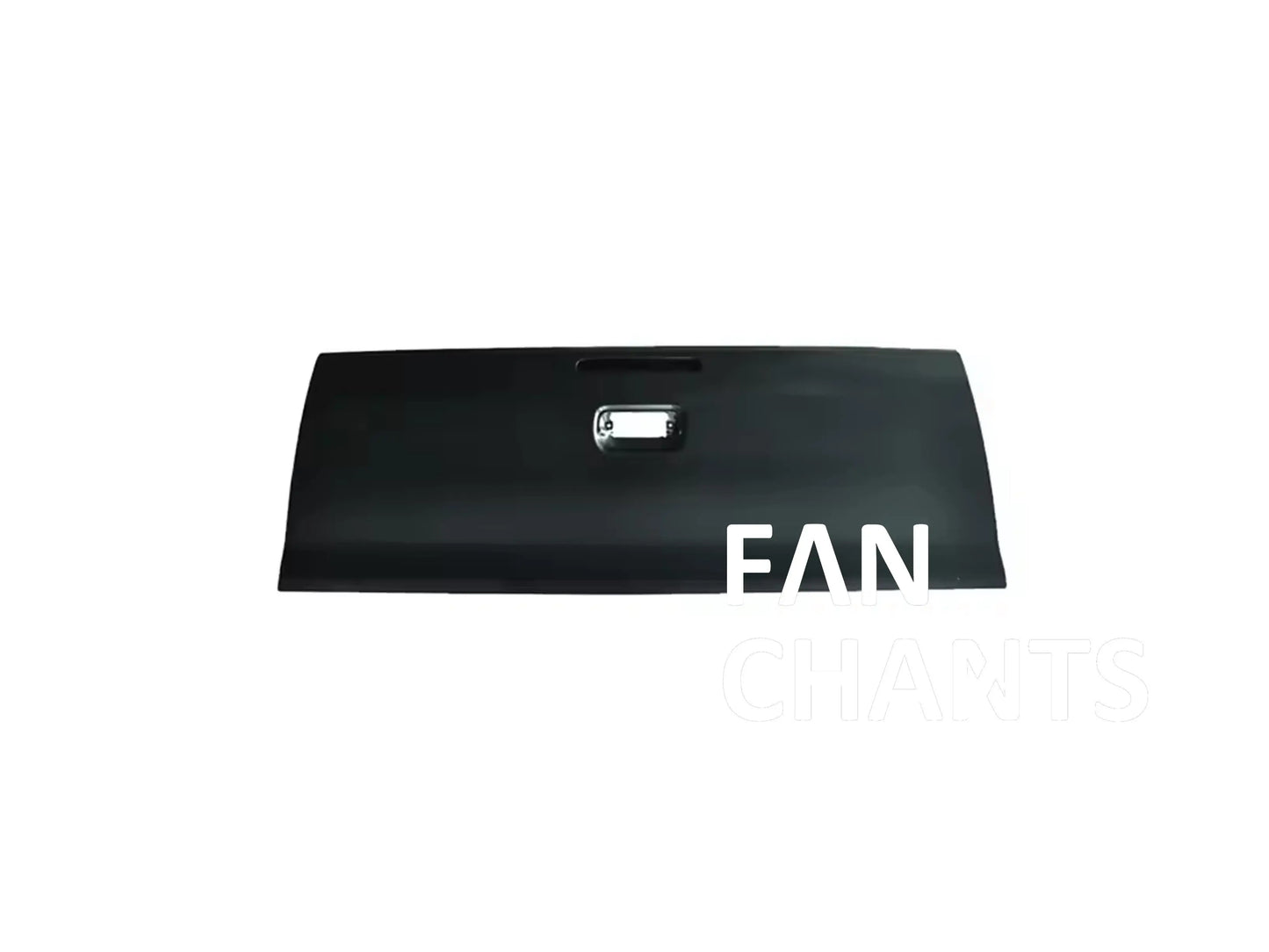 China Factory Wholesale 65700-0K051 TAILGATE for TOYOTA FANCHANTS China Auto Parts Wholesales