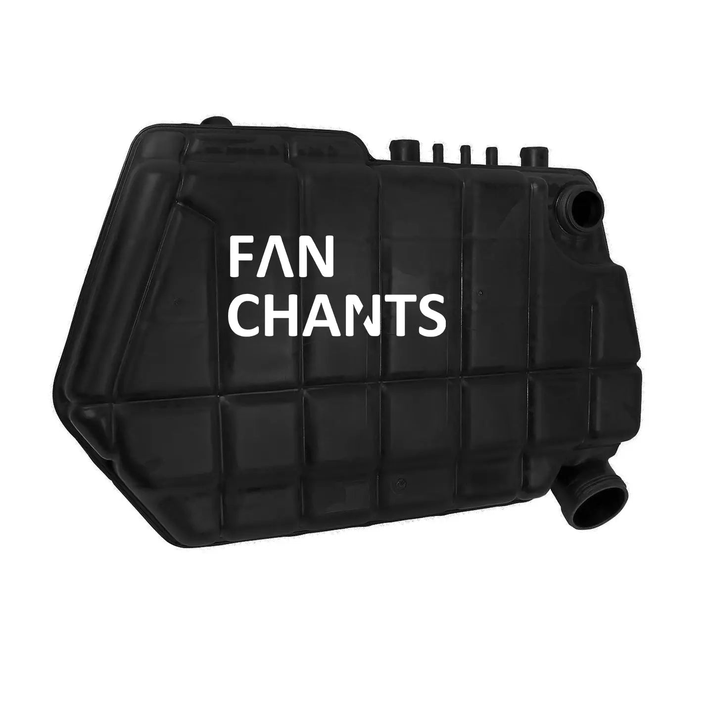 FANCHANTS 1607794 1295910 Expansion Tank Radiator for DAF FANCHANTS China Auto Parts Wholesales