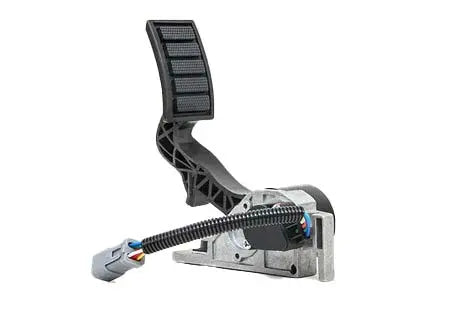 FANCHANTS 21116881 Accelerator Pedal for VOLVO FANCHANTS China Auto Parts Wholesales