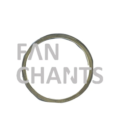 FANCHANTS 2489668 FAN RING FOR SCANIA FANCHANTS China Auto Parts Wholesales