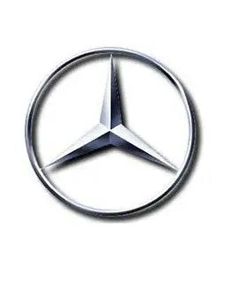 FANCHANTS 9418170116 A9418170116 Emblem Front Panel for MERCEDES BENZ FANCHANTS China Auto Parts Wholesales