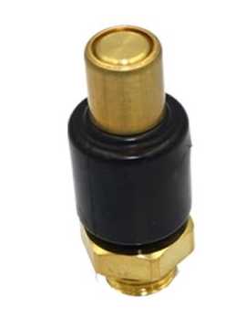 Fanchants 3173104 Safety valve For Volvo FH/FM/FMX/NH 9/10/11/12/13/16